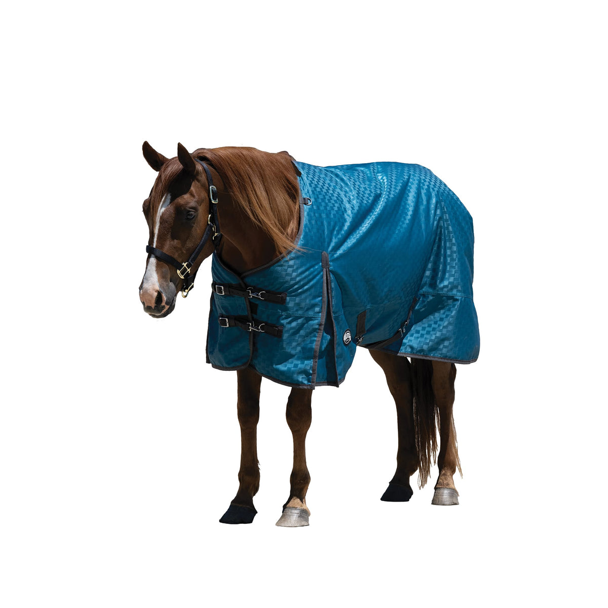 Premium Turnout Blanket, Heavy Weight 300g, 1200D