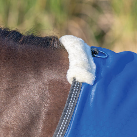 Premium Turnout Blanket, Medium Weight 200g, 600D