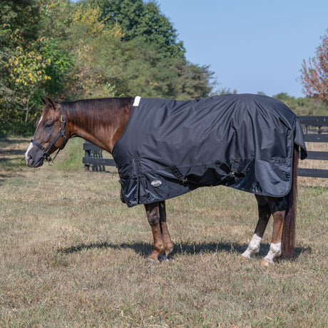 Economy Winter Turnout Blanket, Heavy Weight, 300g, 1200D