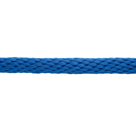 Mini/Pony Lead with Brass Snap