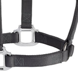 Original Non-Adjustable Nylon Halter, Chrome Plated Hardware, Average