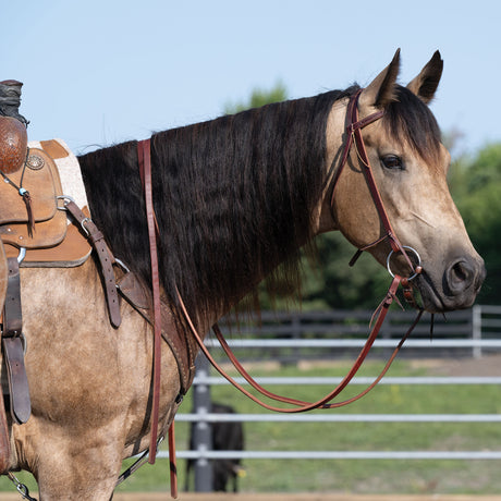 Extra Heavy Oiled Hermann Oak Harness Leather Split Reins, 8'
