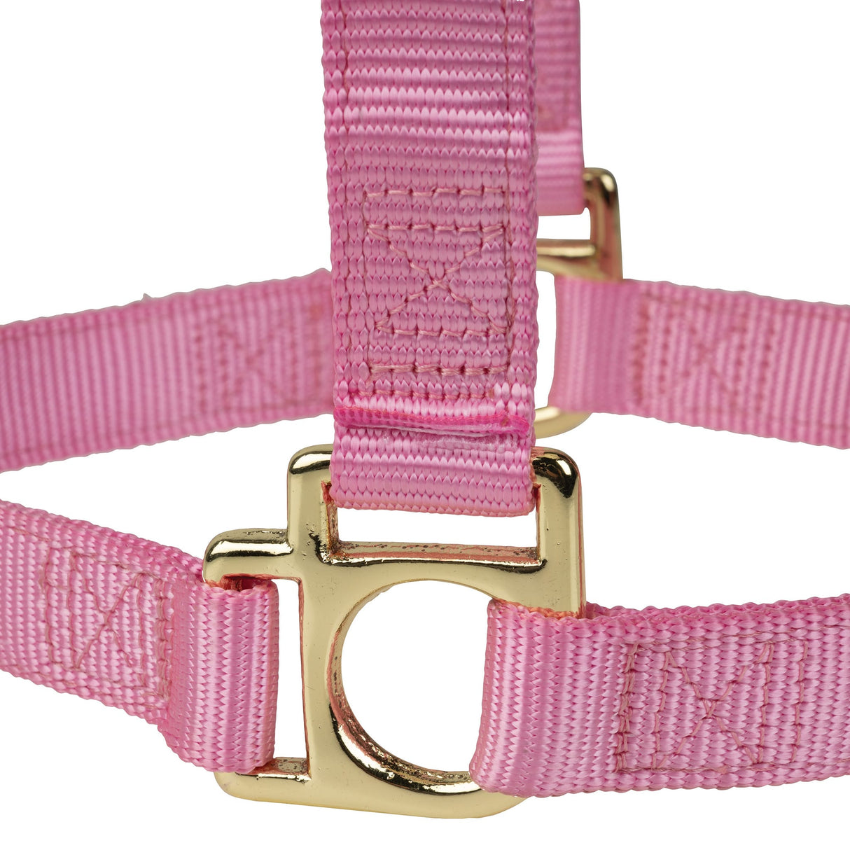 Poly Horse Halter, Non-Adjustable, Weanling to Large