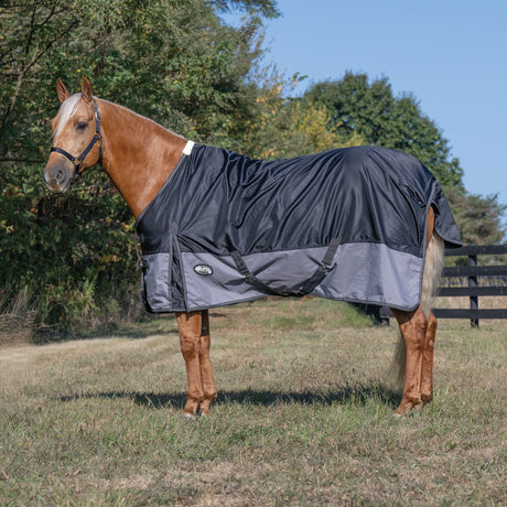 Premium Turnout Blanket, Medium Weight 200g, 600D