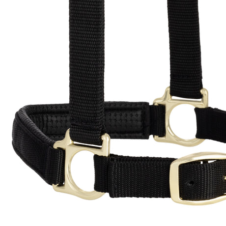Padded Adjustable Chin and Throat Snap Halter, Solid Colors