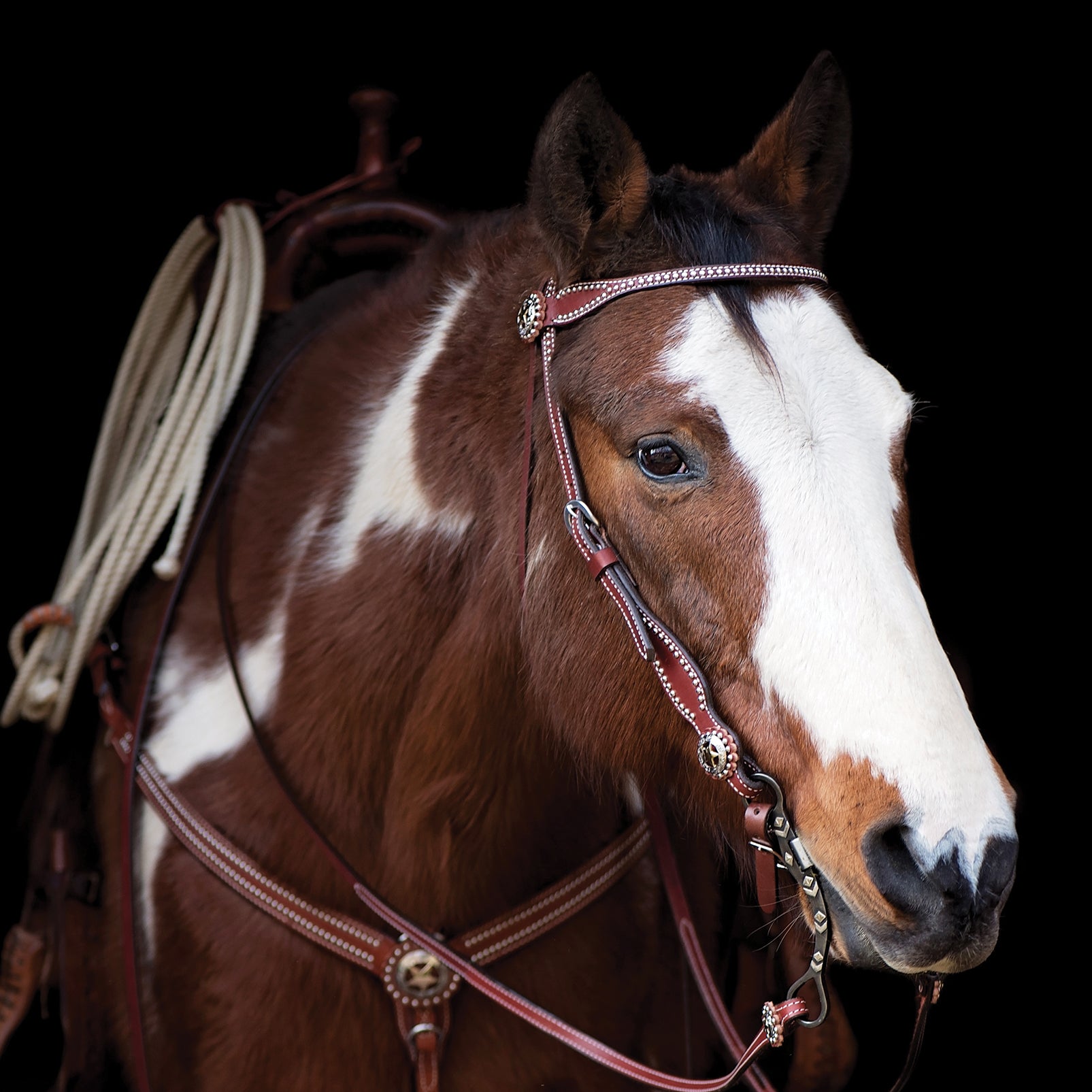 Weaver Pet Texas Star Halsband – Rustikales Leder Mit Sterndekor Für Hunde