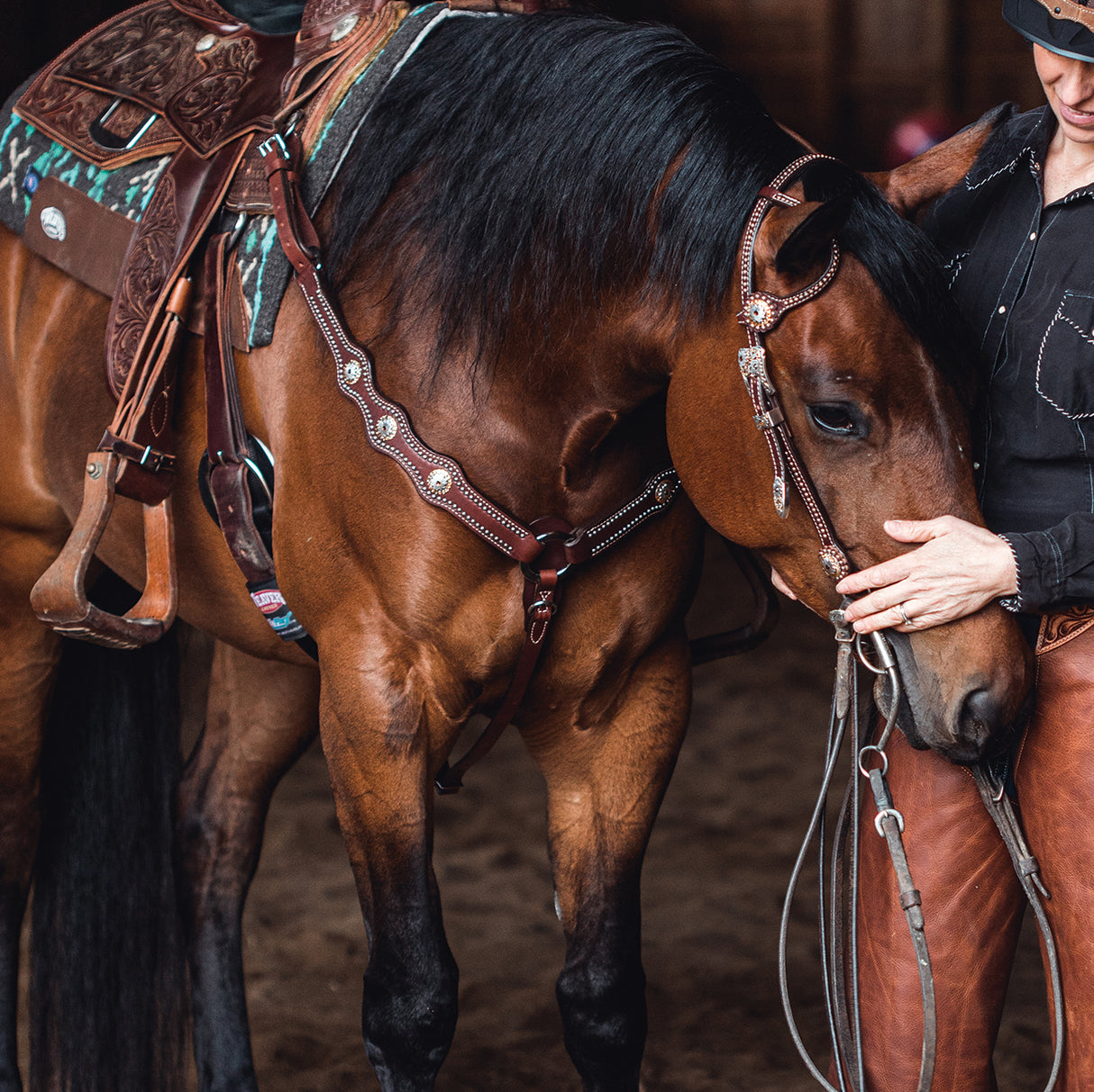 Stacy Westfall Showtime Breast Collar