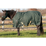 Turnout Blanket