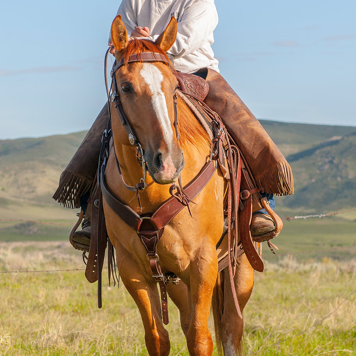 Basin Cowboy Breast Collars