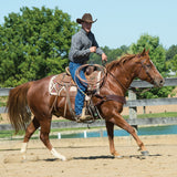 Working Tack Bridle