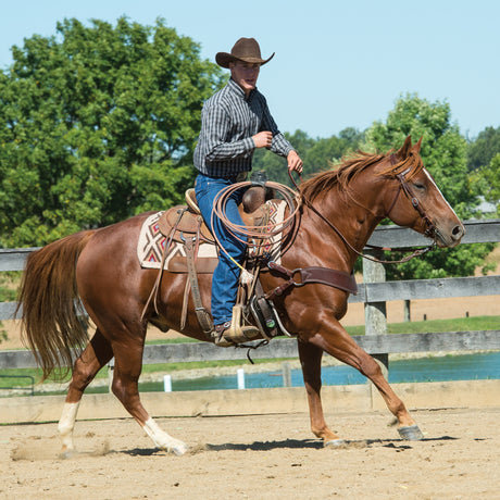 Working Tack Bridle