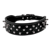 Spike Collar, Black, 2" x 21"