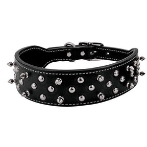 Spike Collar, Black, 2" x 21"