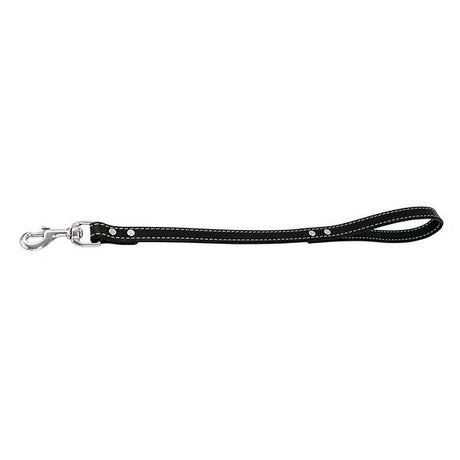 Spikes Leash, Black, 3/4" x 18"