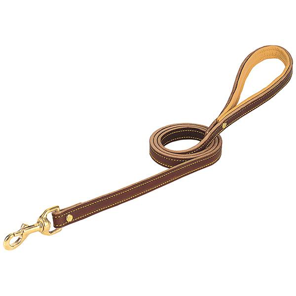 Deer Ridge Leash, 5/8" X 6