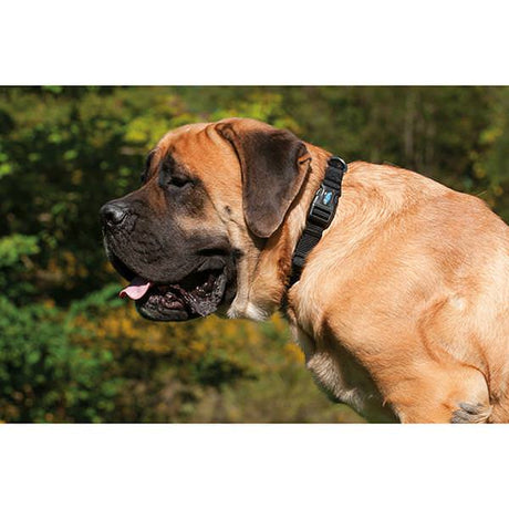 Prism Snap-n-Go Adjustable Collar