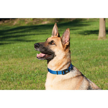 Prism Snap-n-Go Adjustable Collar
