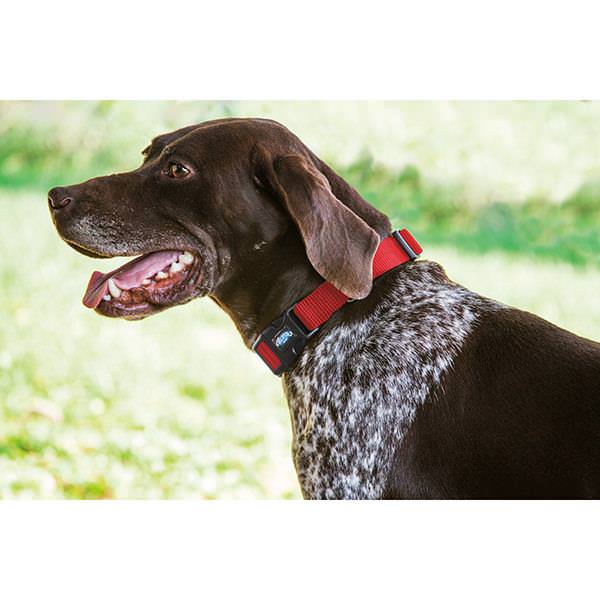 Prism Snap-n-Go Adjustable Collar