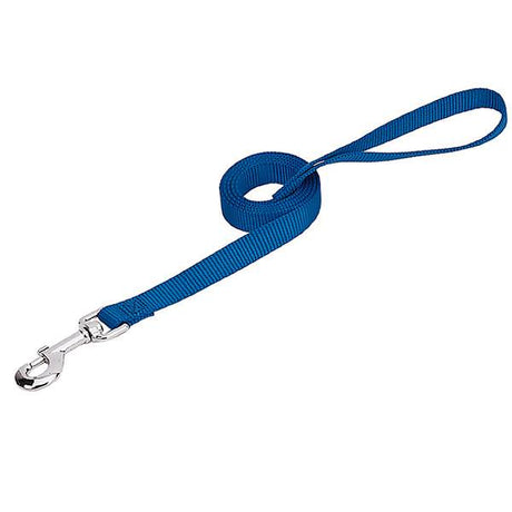 Prism Choice Leash, Nylon, Blue, 3/4" x 4