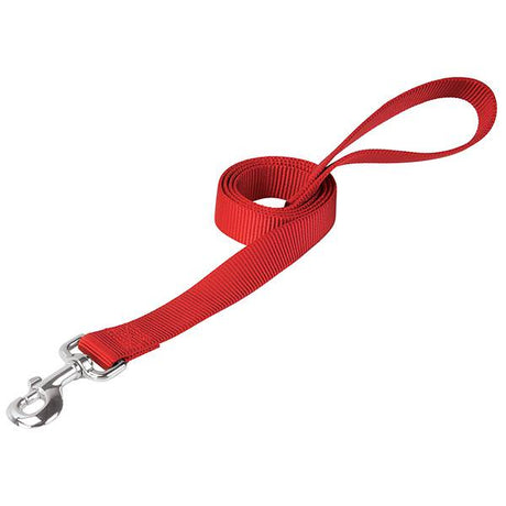 Prism Choice Leash, Nylon, Red, 3/4" x 4