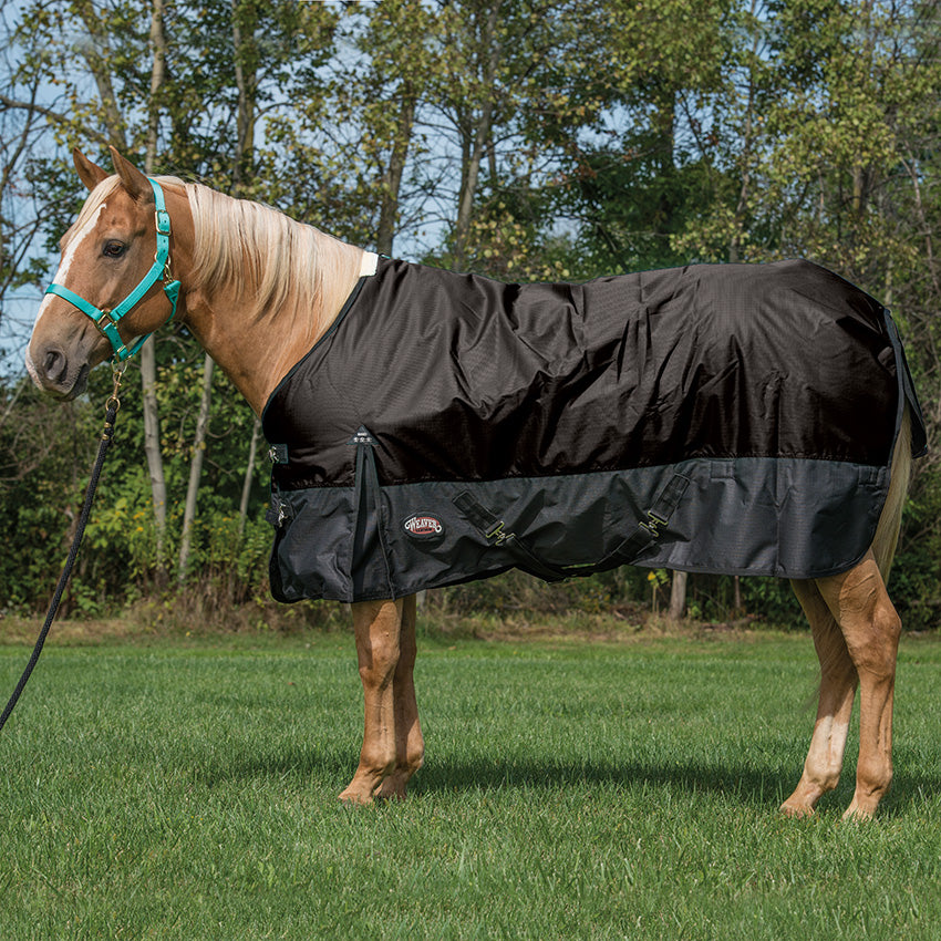 Horsewear - Blankets, Sheets & More - Weaver Equine