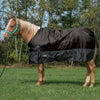 Economy Horse Blanket for Turnout, Medium Weight, 180g Fill, 600 Denier