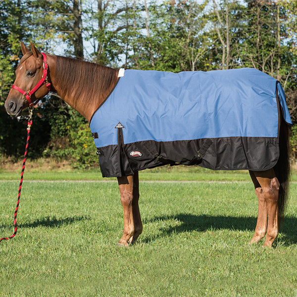 Horse Blanket for Turnout, Medium-Heavy 300g Fill, 1200D - Weaver