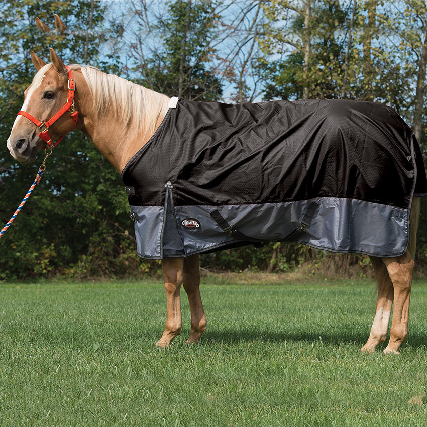 Medium Weight Horse Blanket for Turnout, 200g Fill, 600D - Weaver