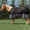 Premium Horse Blanket for Turnout, Medium Weight 200g Fill, 600 Denier