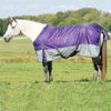 Premium Horse Blanket for Turnout, Medium Weight 200g Fill, 600 Denier