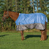 Winter Horse Blanket for Turnout, Heavy Weight 300g Fill, 1,200 Denier