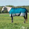 Winter Horse Blanket for Turnout, Heavy Weight 300g Fill, 1,200 Denier