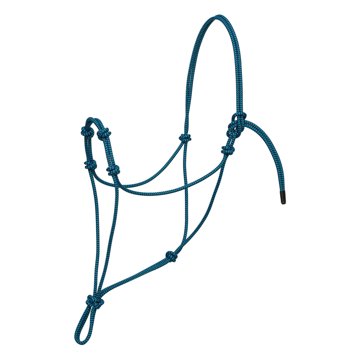 Quality Equestrian Tack Essentials Weaver Equine quality-equestrian-tack-essentials-weaver-equine