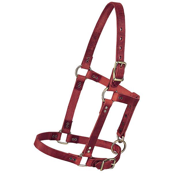Riveted Halter with Catch Strap, 5/8" Suckling