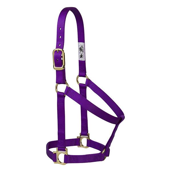 Weaver Leather Original Non-Adjustable Nylon Horse Halter - Blue, Large - Tack & Saddles | Weaver Leather | C-A-L Ranch