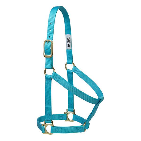 Basic Non-Adjustable Halter, 1" Small Horse or Weanling Draft