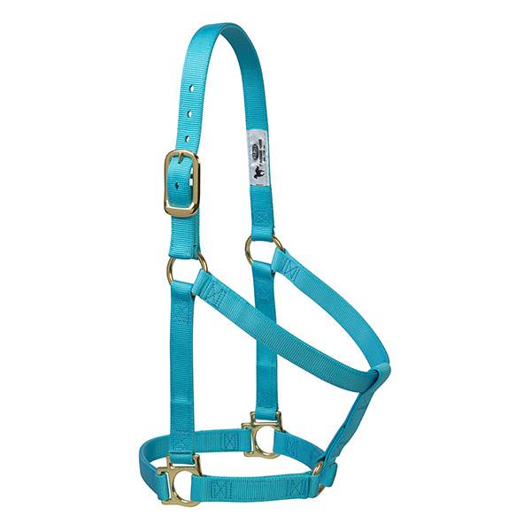 Basic Non-Adjustable Halter, 1" Small Horse or Weanling Draft