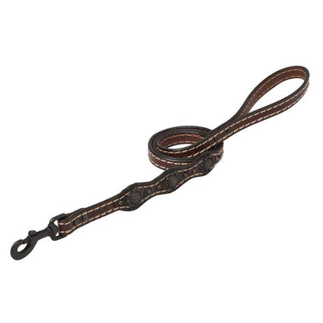 Vintage Paisley Leash, 3/4" x 4