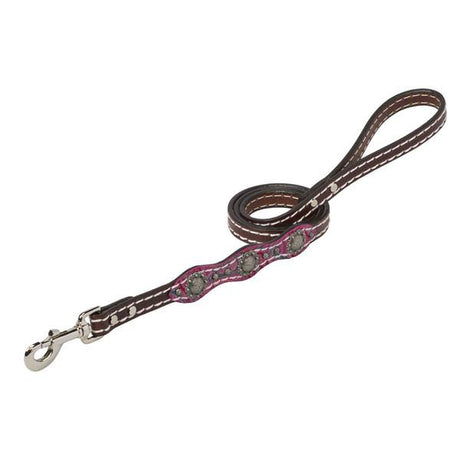 Vintage Paisley Leash, 3/4" x 4