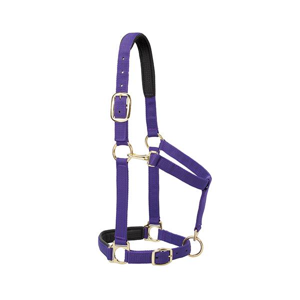 Padded Adjustable Chin and Throat Snap Halter, 1" Average Horse or Yearling Draft