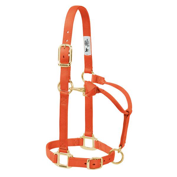 Original Adjustable Chin & Throat Snap Halter, 3/4" Suckling, Orange