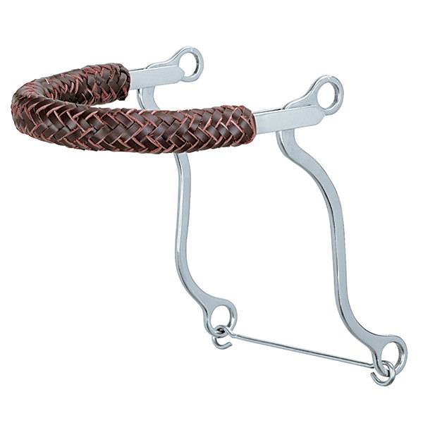 Hackamore with Braided Leather Noseband