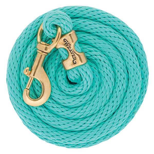 Poly Lead Rope with Solid Brass 225 Snap, Mint