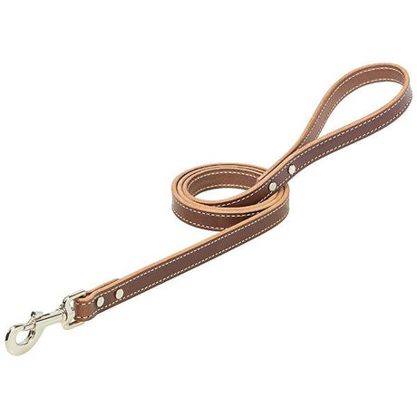 Western Edge Dog Leash, 3/4" x 4