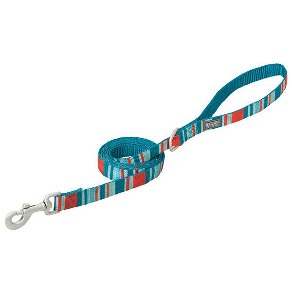 Patterned Leash, 3/4" x 4, Teal/Red Stripes