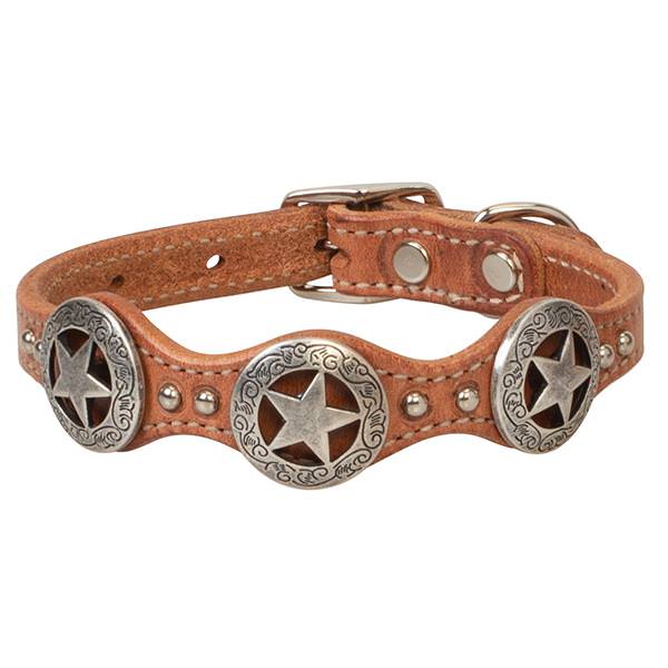 Texas Star Collar, 5/8" x 13"