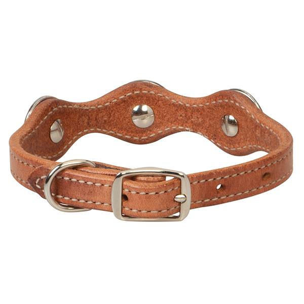 Texas Star Collar, 5/8" x 13"