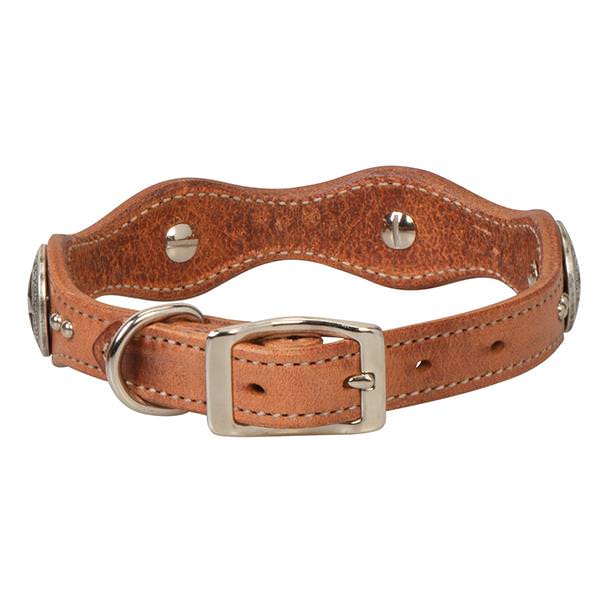 Texas Star Collar, 3/4"