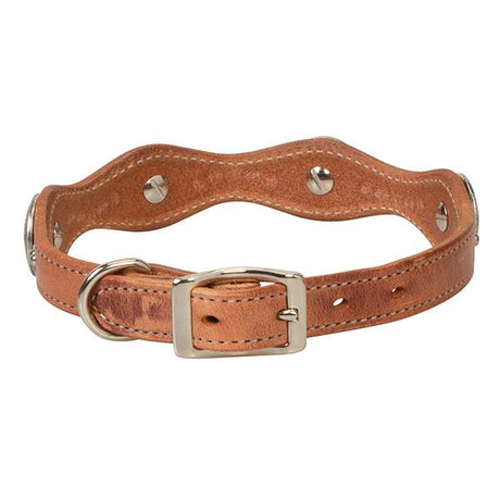 Texas Star Collar, 3/4"