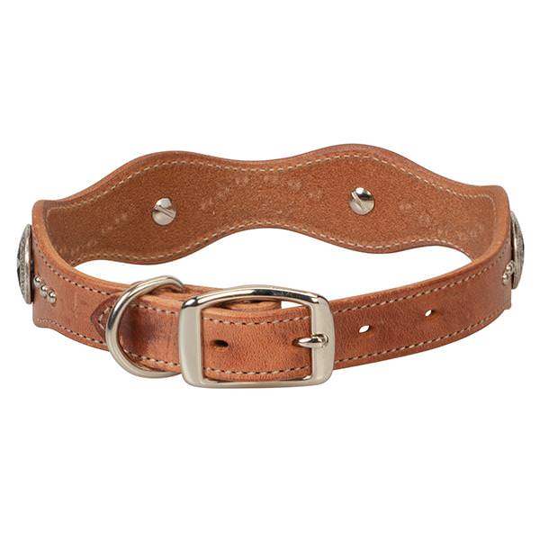 Texas Star Collar, 1"